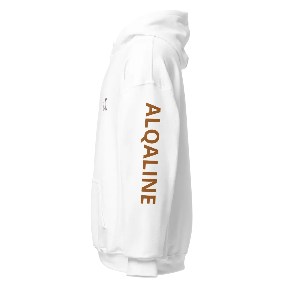 Alqaline & Authenik hoodie  thumbnail 3