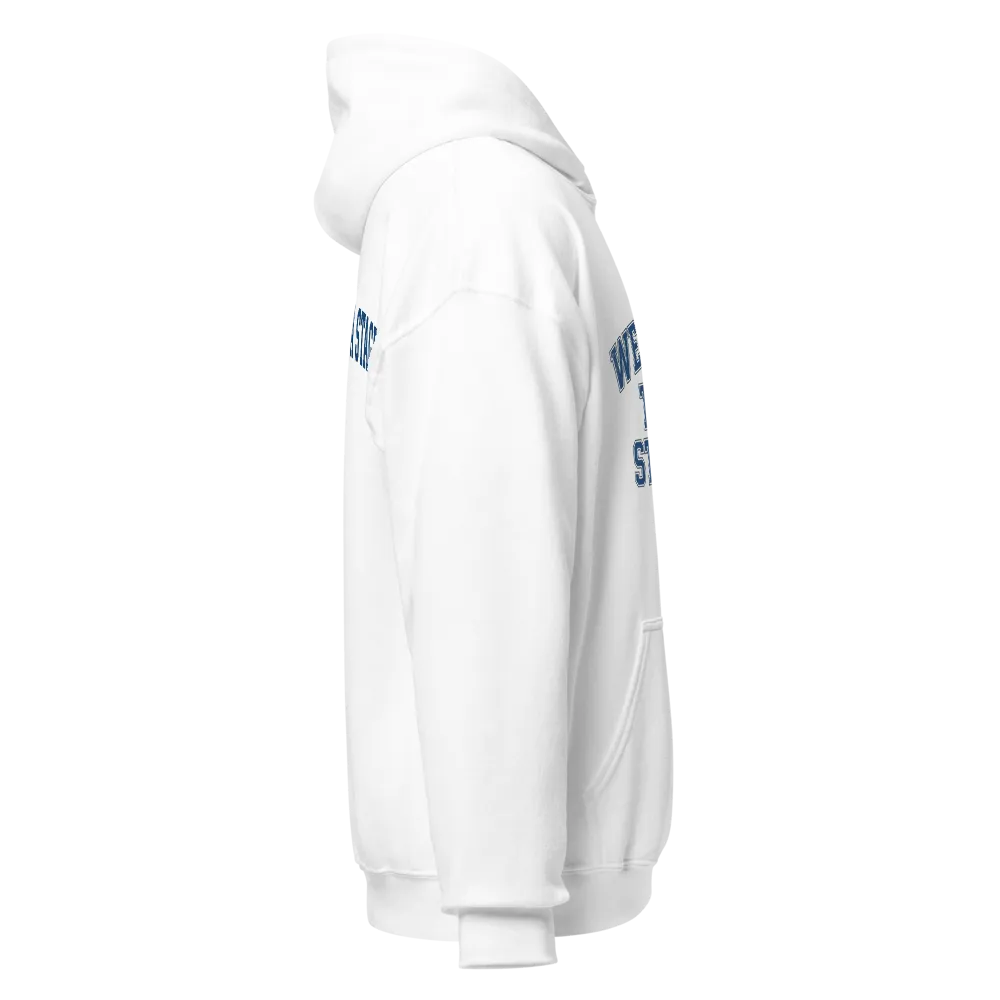 WE OWN THE STAGE - Aesthetic Varsity Hoodie thumbnail 3