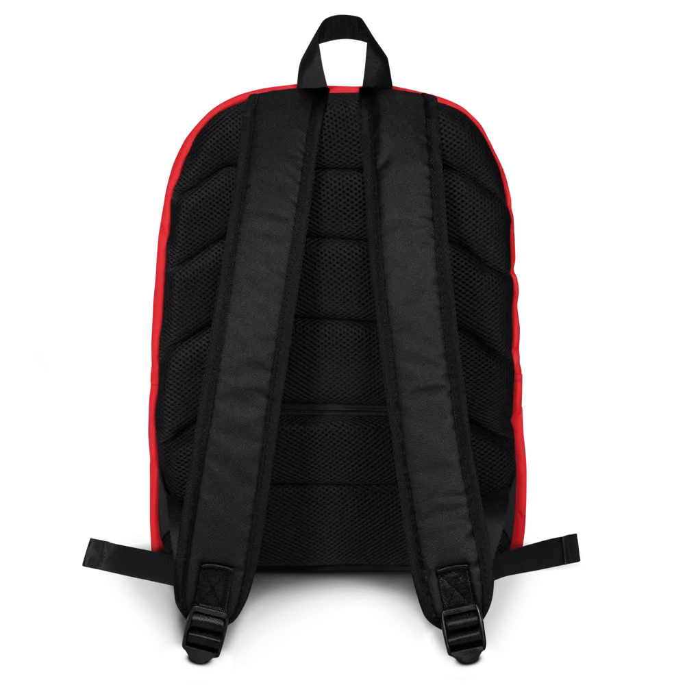 Zeaiz Kids Backpack thumbnail 4