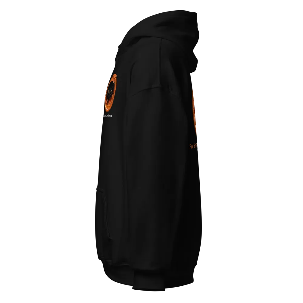 Book 3 - Unisex Heavy Blend Hoodie thumbnail 3