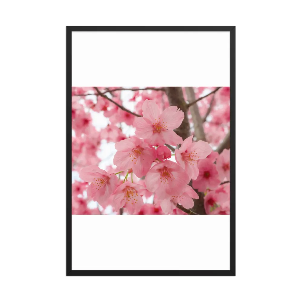 Pink Cherry Blossom Framed Poster Spring Art thumbnail 2