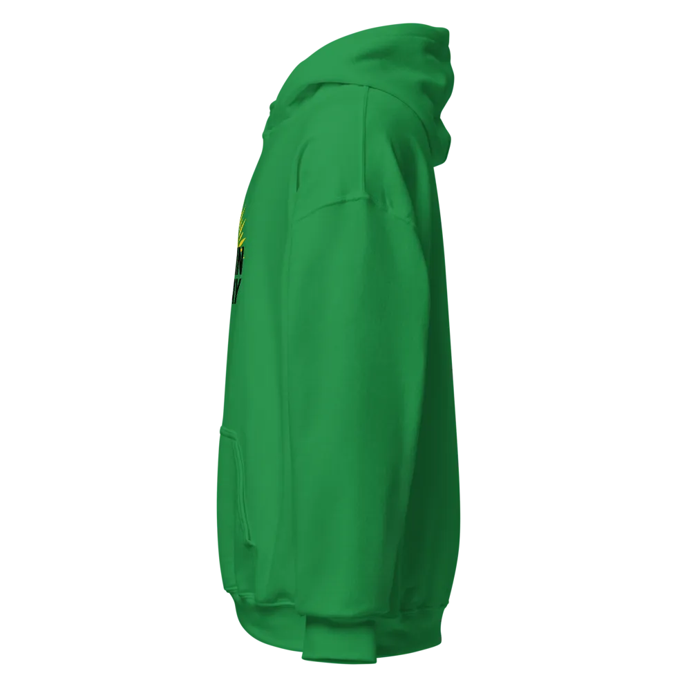 Begin Today Green Hoodie  thumbnail 3