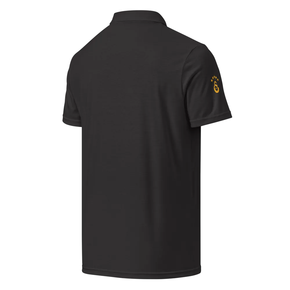 GS - Galatasaray Logo thumbnail 2
