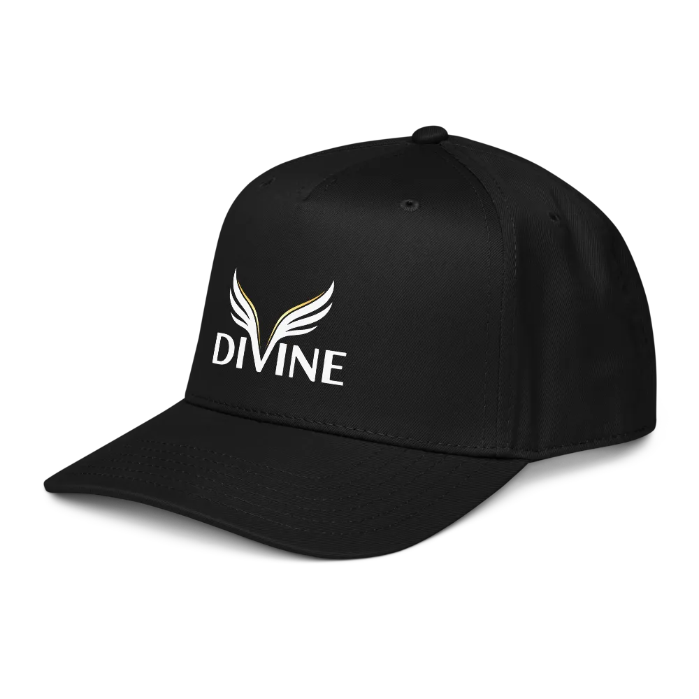 Divine 2.0 - Statement  Cap thumbnail 3