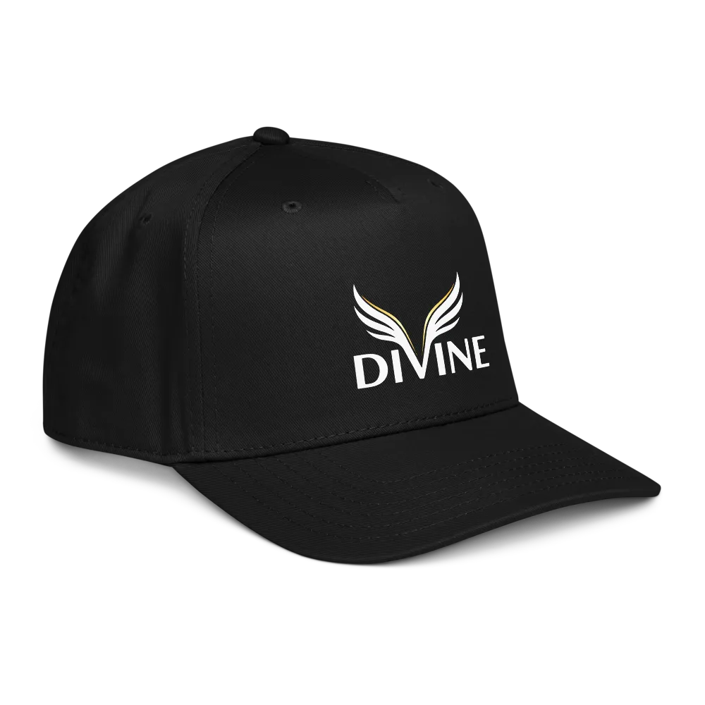 Divine 2.0 - Statement  Cap thumbnail 4