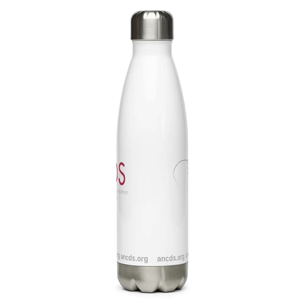 Stainless Steel Water Bottle thumbnail 2