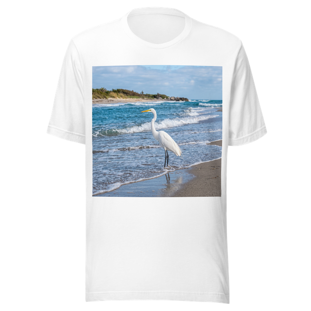beautiful egret at the beach near the sea