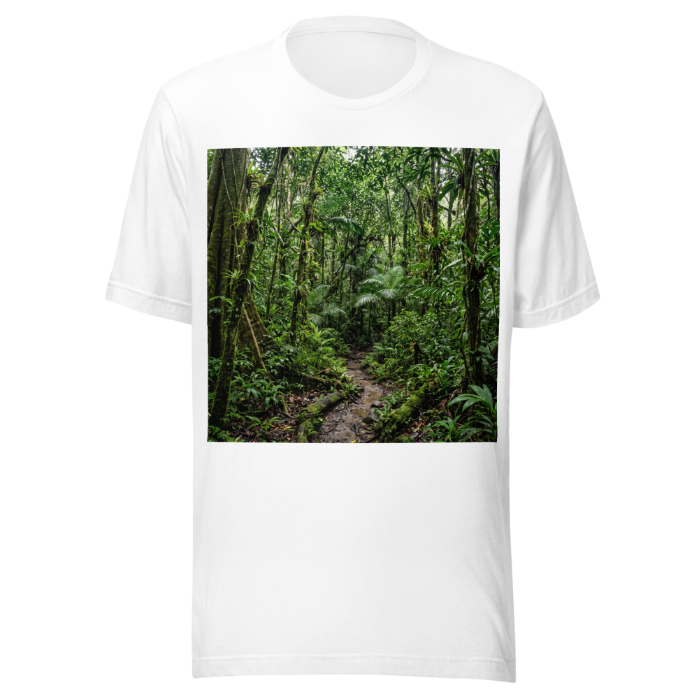 dense rainforest