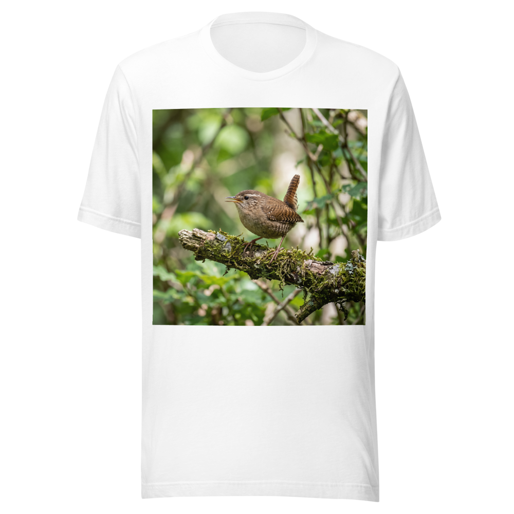 Wren bird