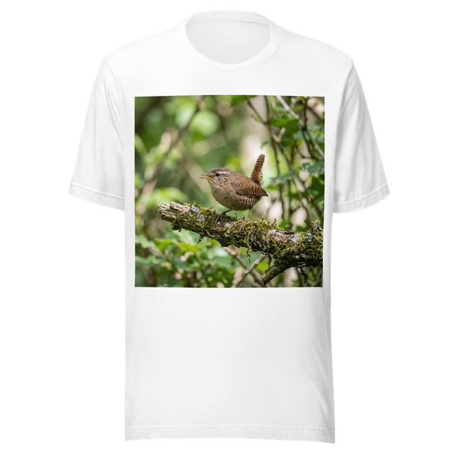 Wren bird