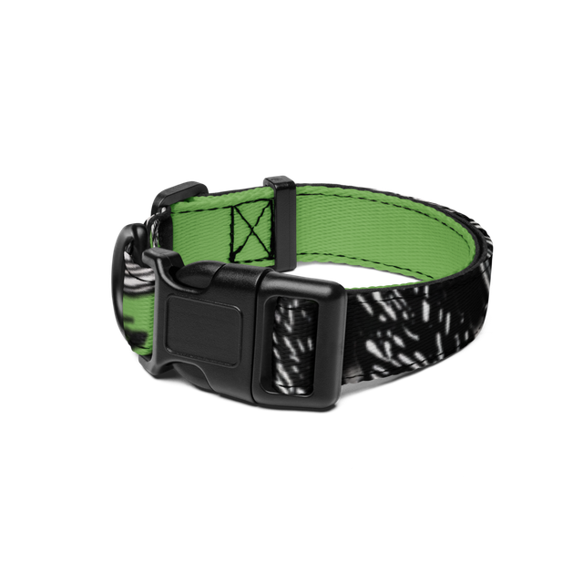 Green Black Abstract Pet Dog Collar