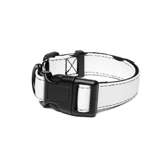 Nope Pattern Pet Collar