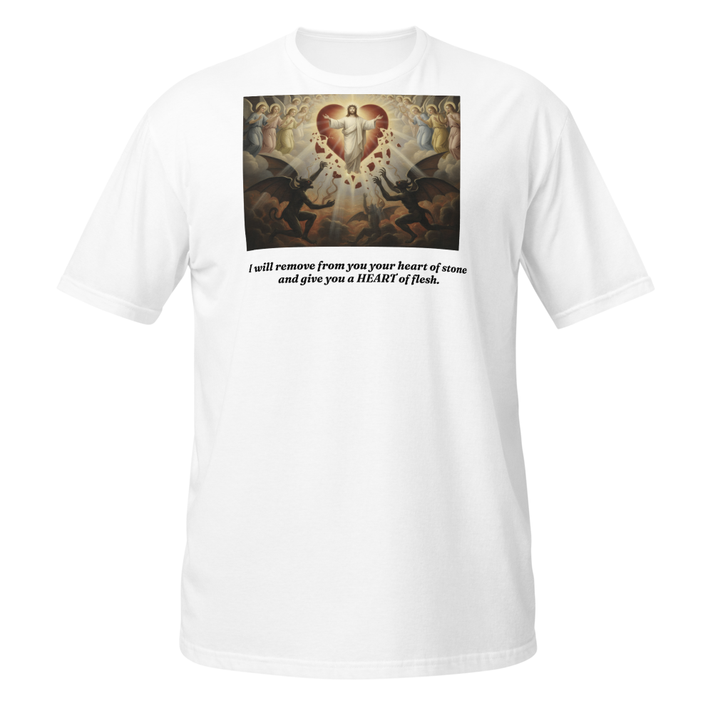 Give me a heart of Flesh
