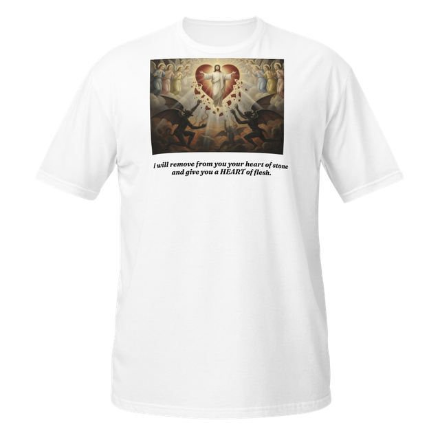 Give me a heart of Flesh