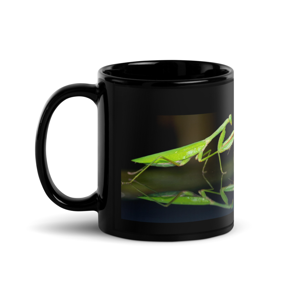 MANTIS