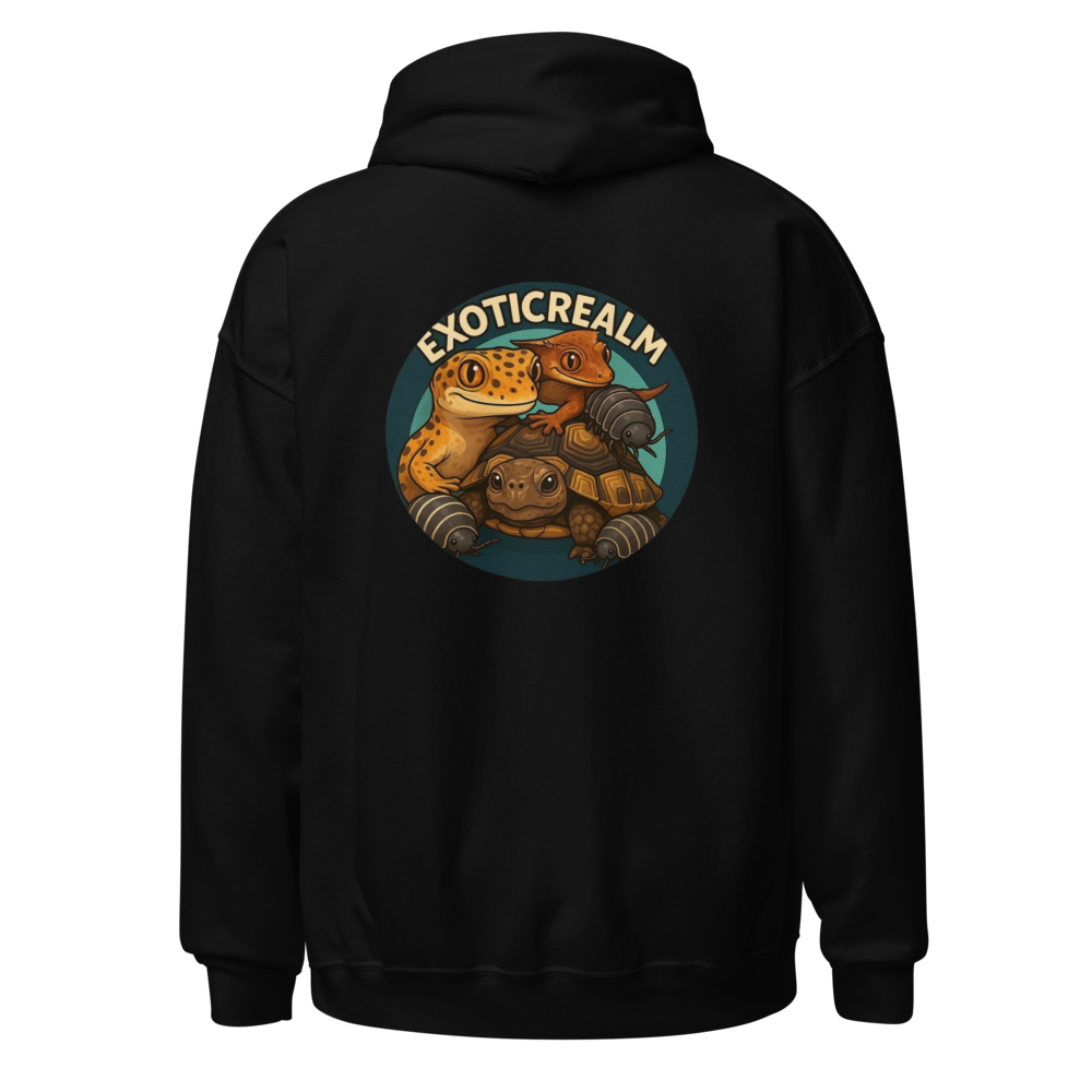 ExoticRealm men's sweater