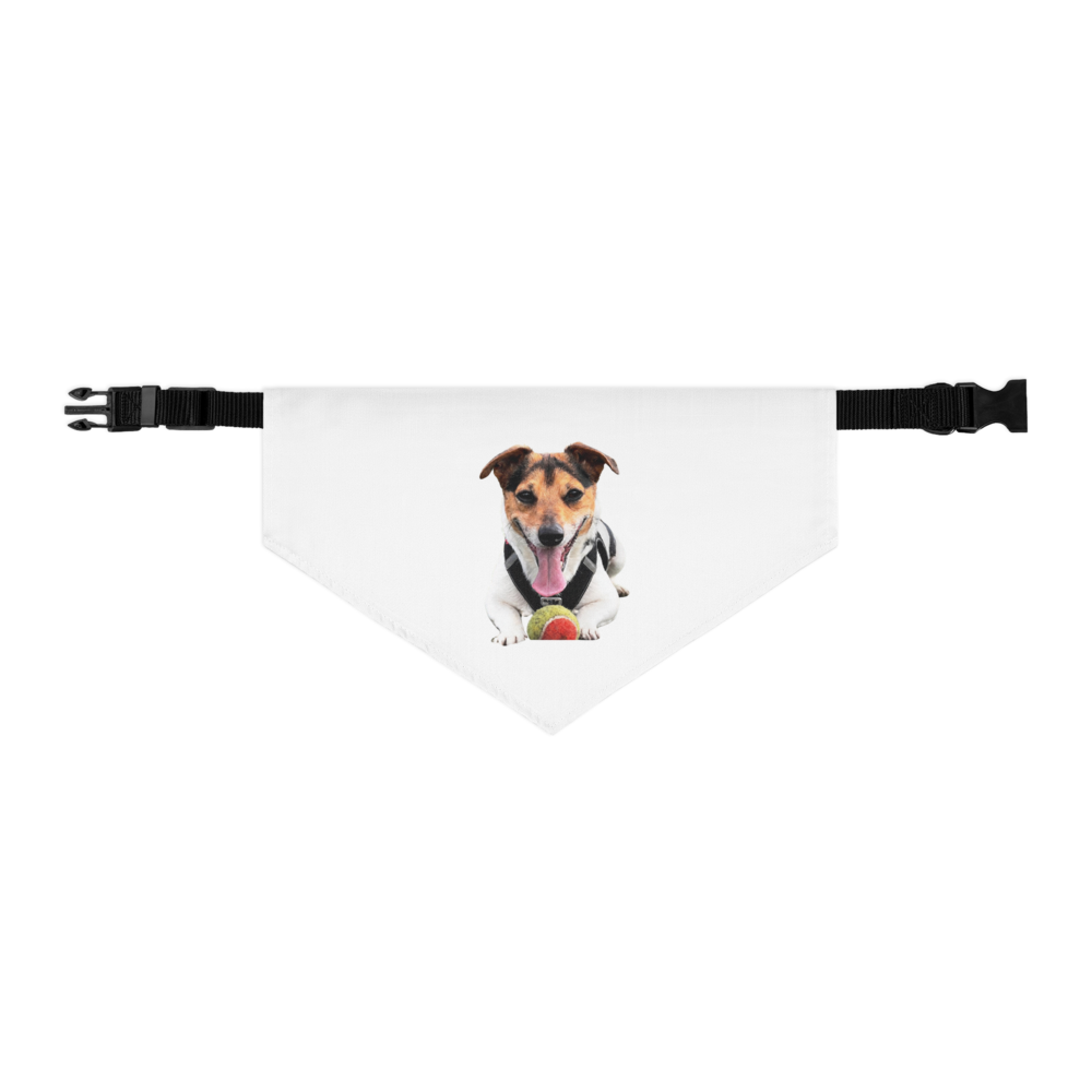 bandana collare Zampettinedirey