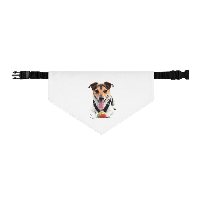 bandana collare Zampettinedirey