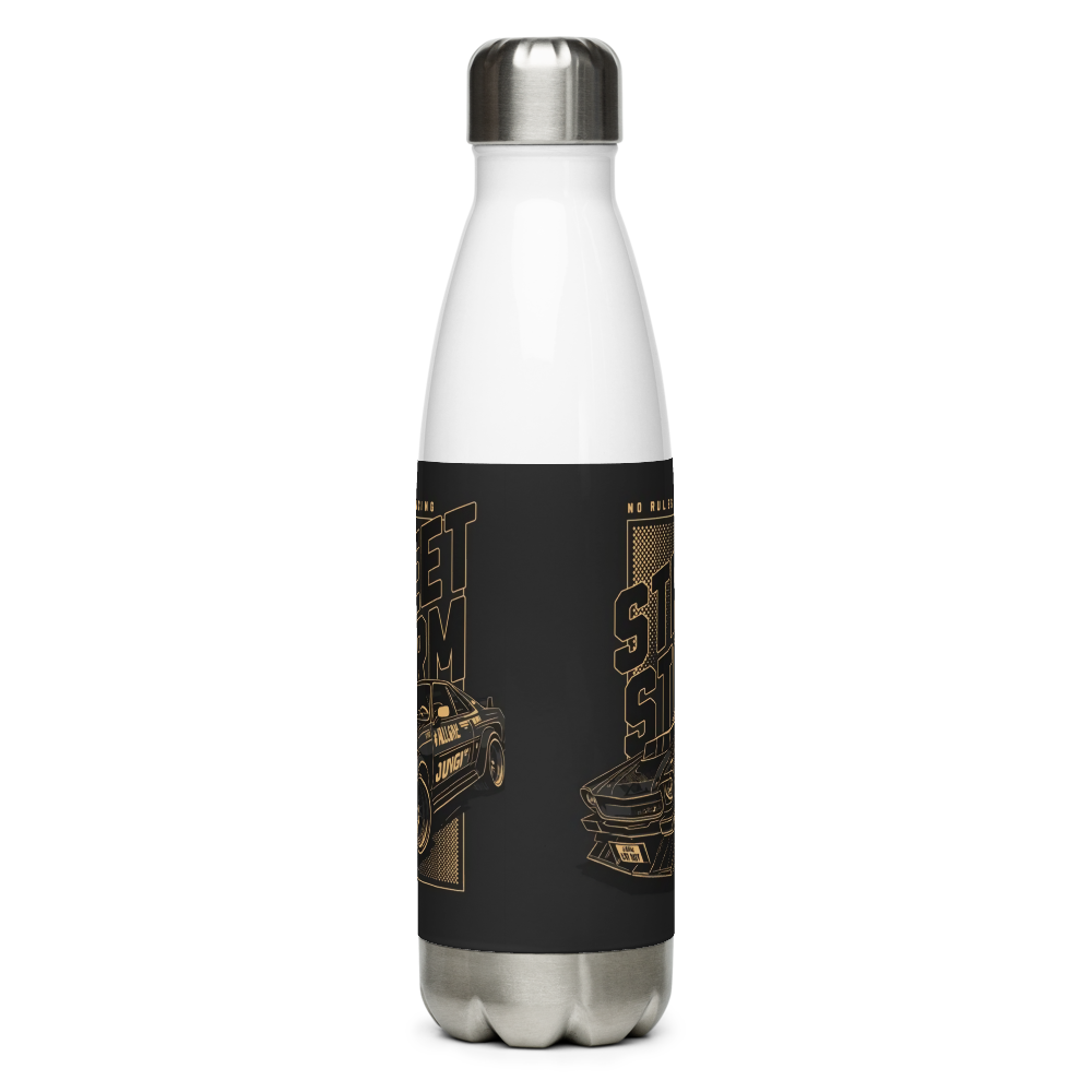 Stainless steel water bottle 