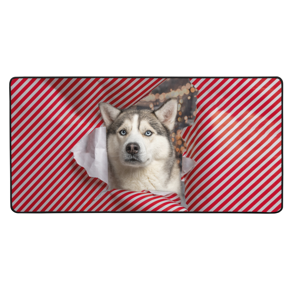 Blue the Husky - Paper Burst