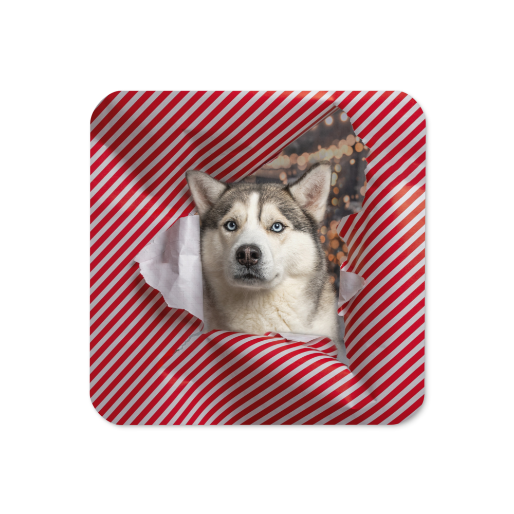 Blue the Husky - Paper Burst