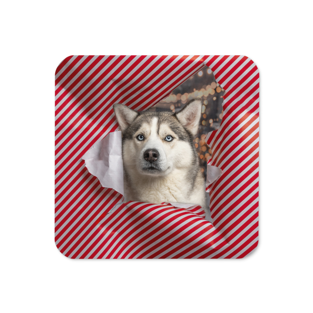 Blue the Husky - Paper Burst