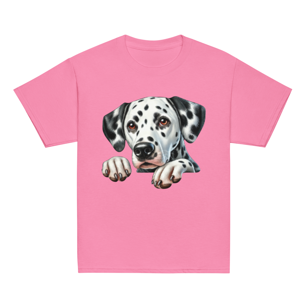 PET CARE