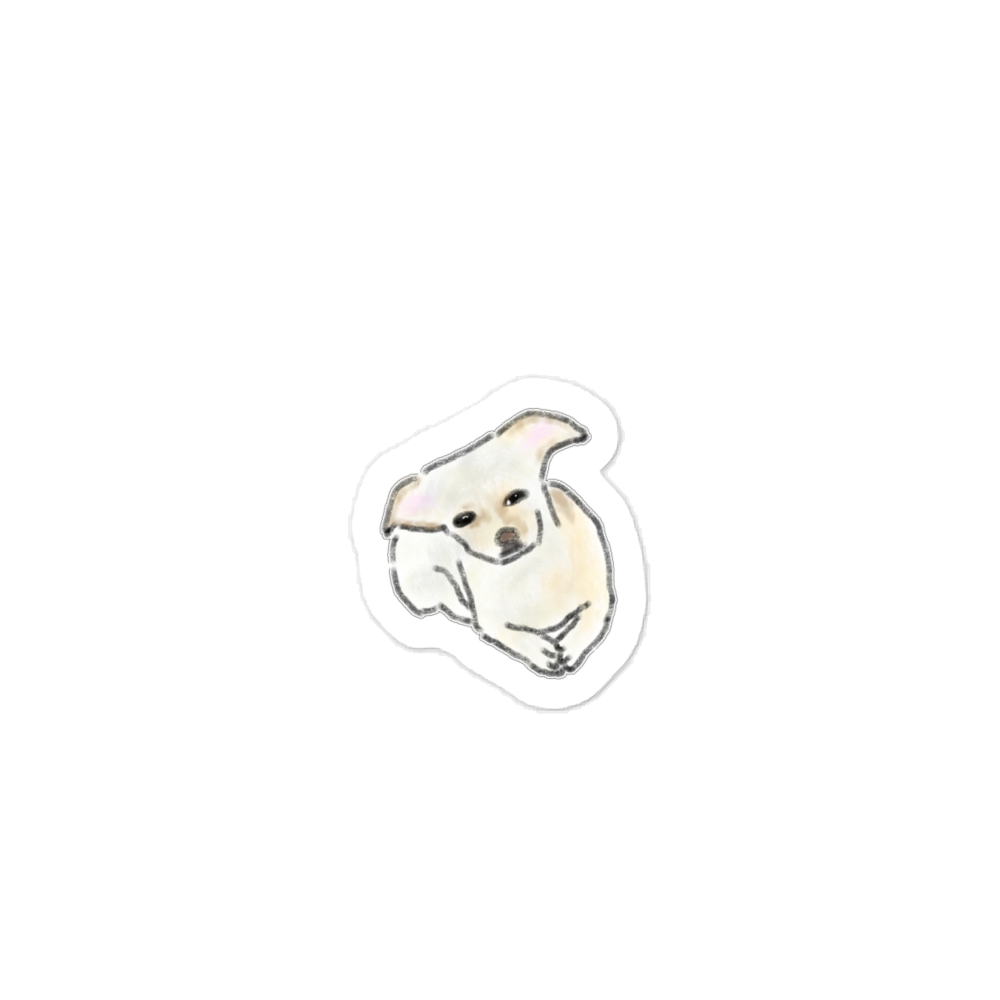 Untitled product