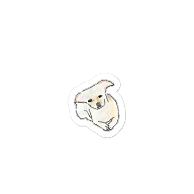 Untitled product