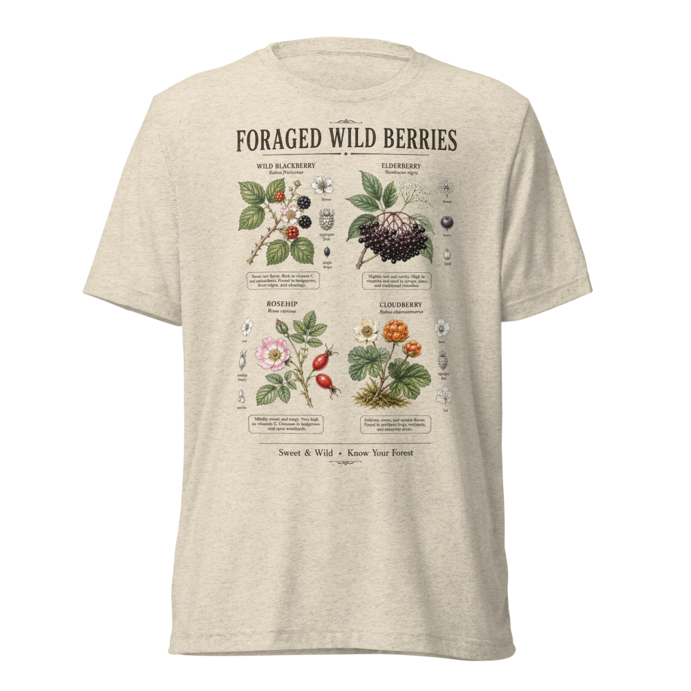 Foraged Wild Berries Vintage Botanical Chart