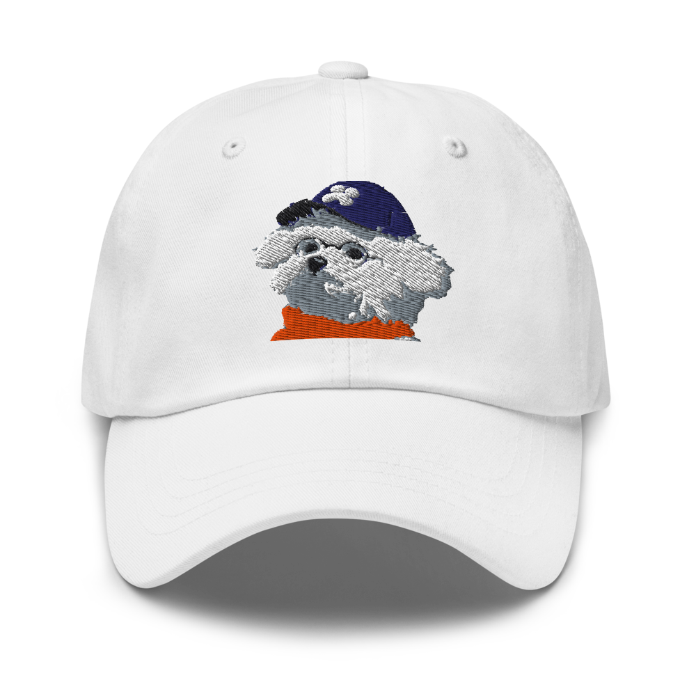 Classic Dad Hat