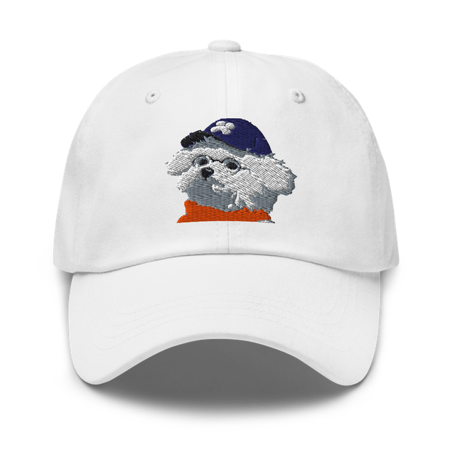 Classic Dad Hat