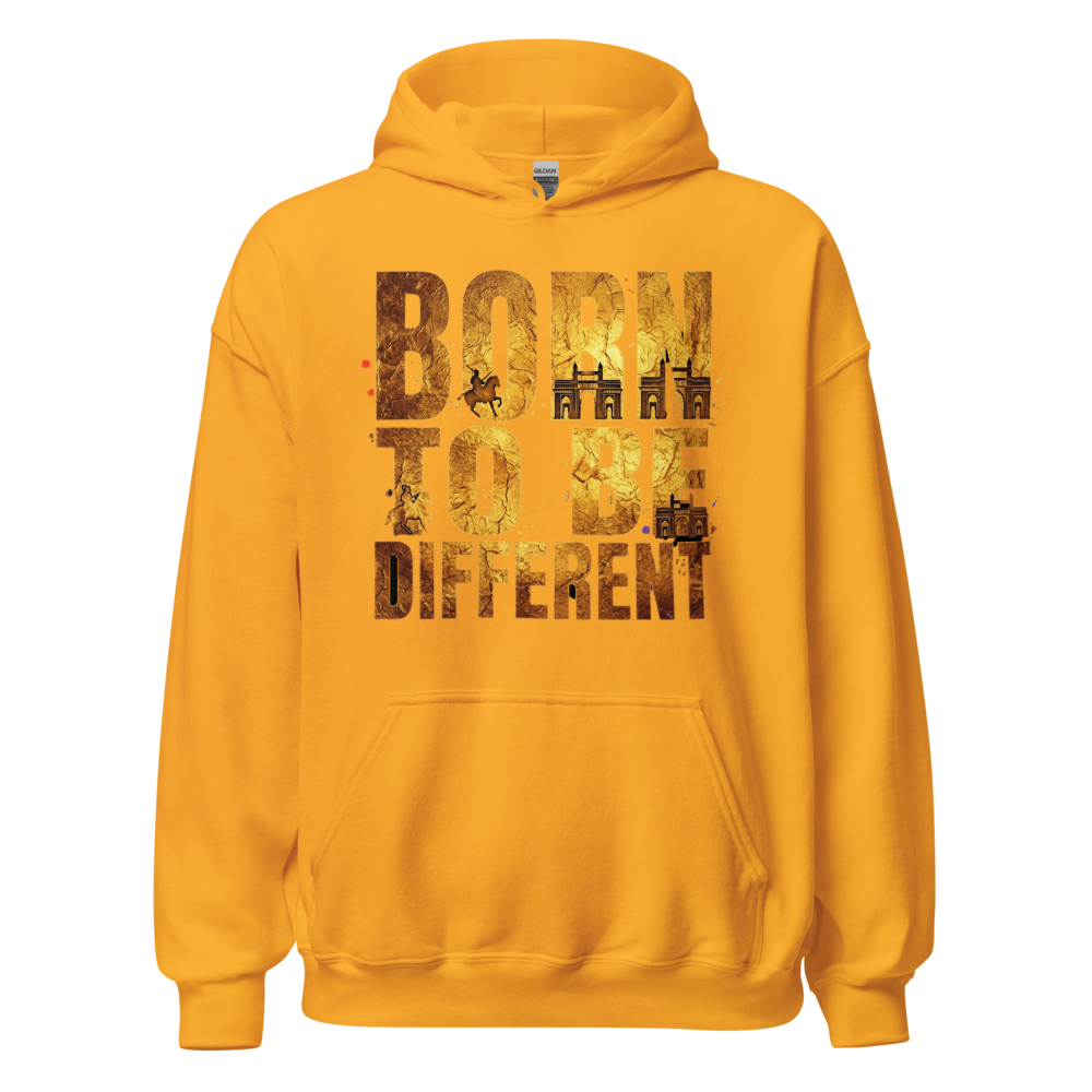 Maratha code unisex premium hoodie