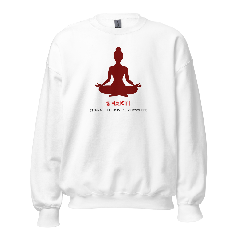 Shakti Energy Source