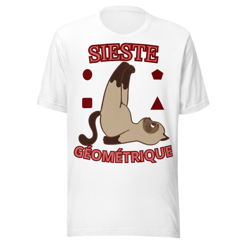 'Sieste Géométrique _ Chat allongé plafond, fun   
