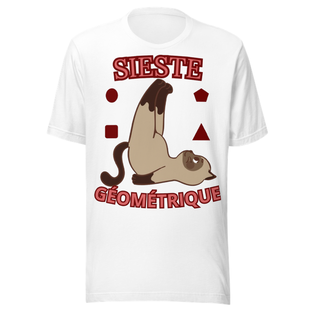 'Sieste Géométrique _ Chat allongé plafond, fun