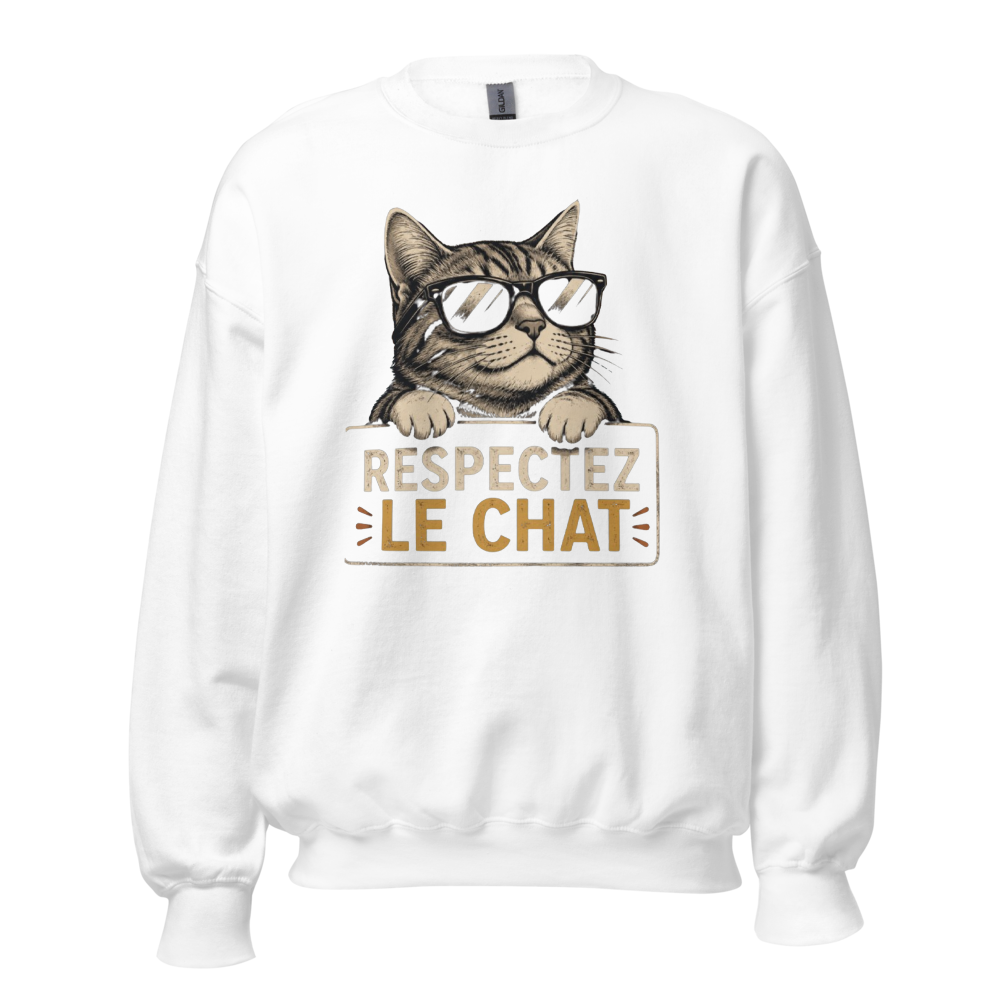 Illustration chat lunettes de soleil humour drôle!