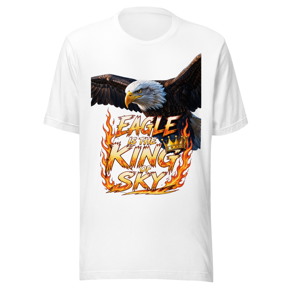 Best T-shirt for men 