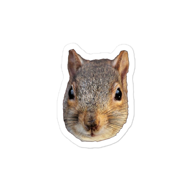 Squirrel Sticker