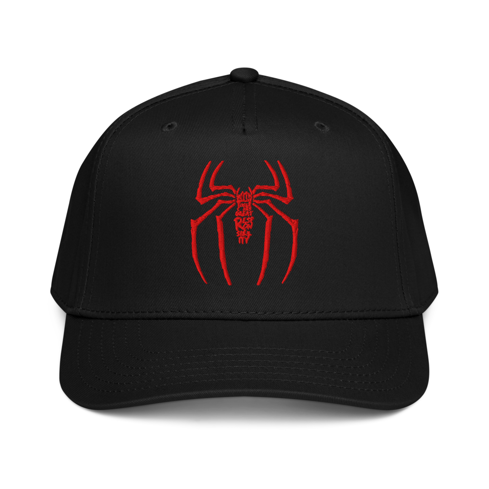 Spider man cool hat cap 
