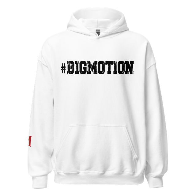 BIGMOTION