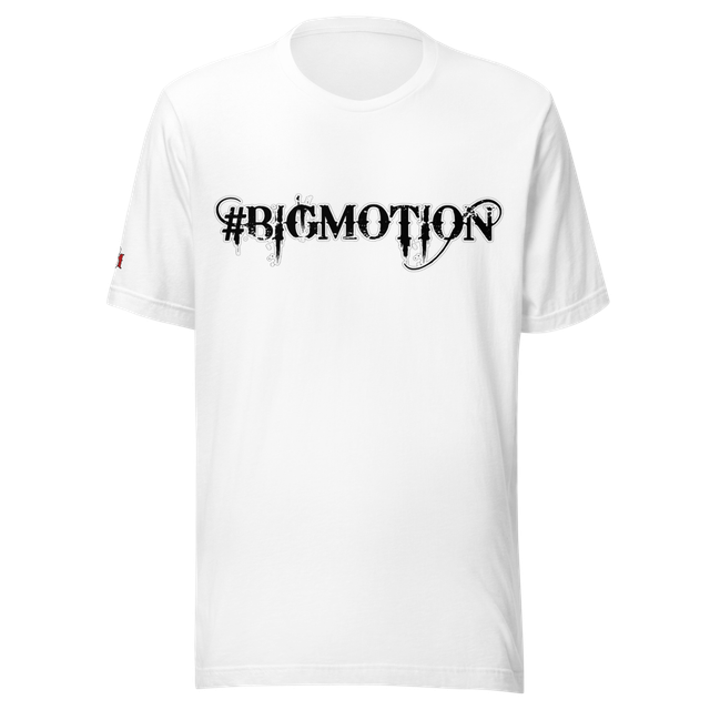 BIGMOTION (SKULL HEAD)