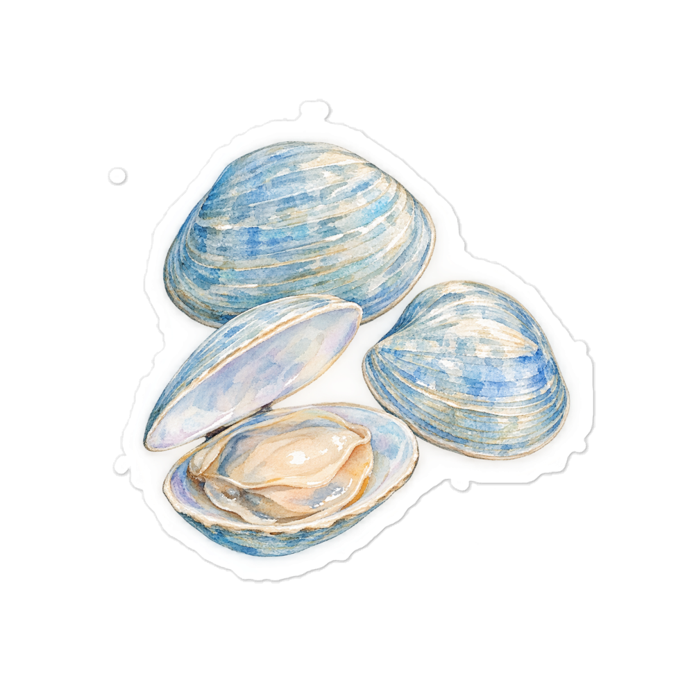 Blue Coastal Shell Sticker