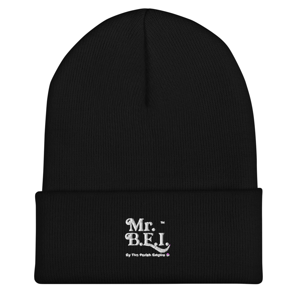 Mr. B.E.I. Beanie