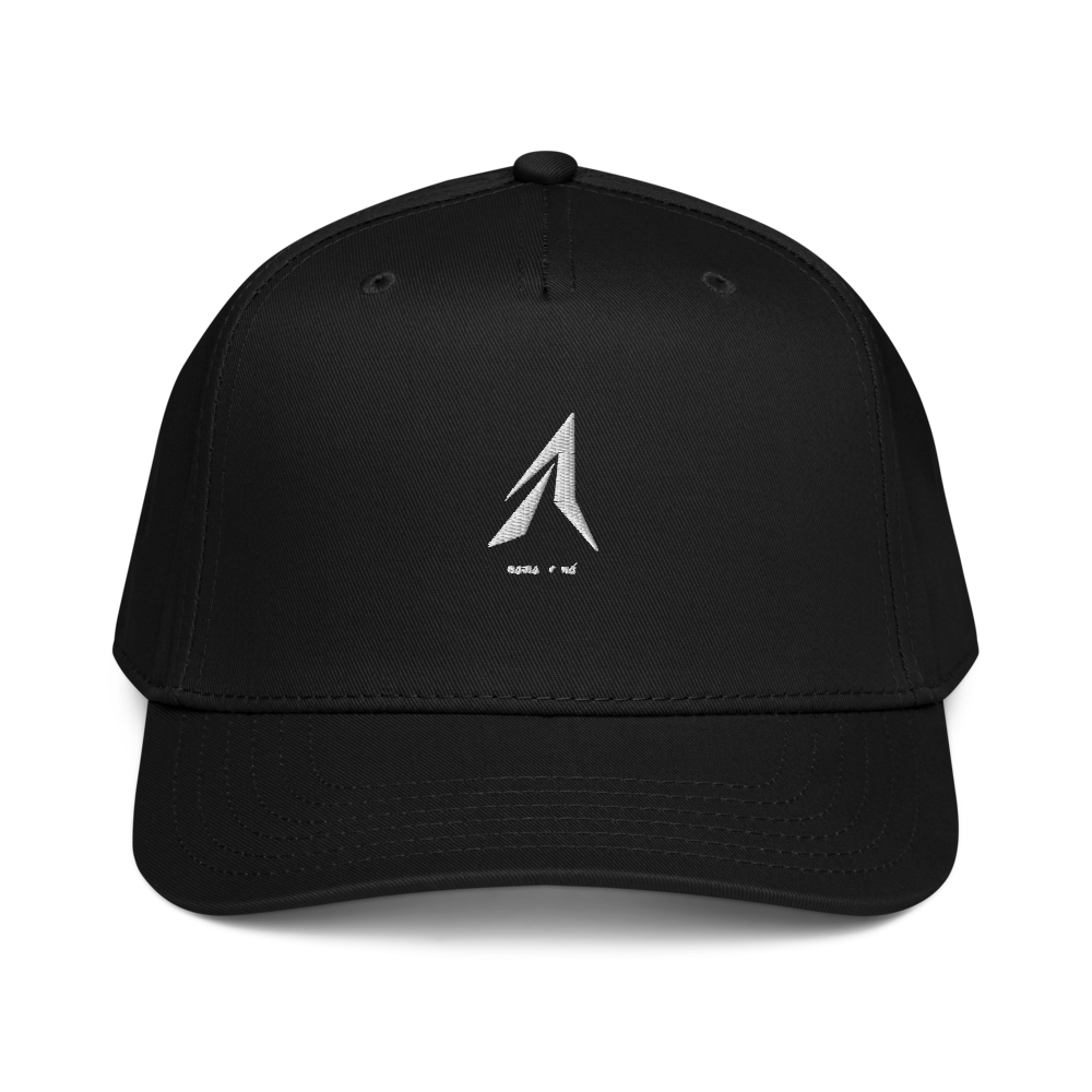 Fancy hat