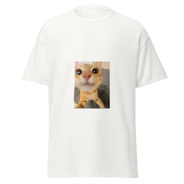 Cute Cat Lover Hoodie π±πΎ