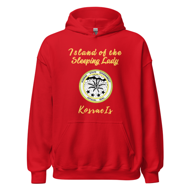 Sleep Hoodie