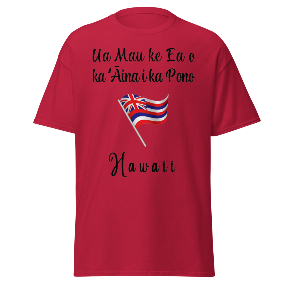Hawaii Flag