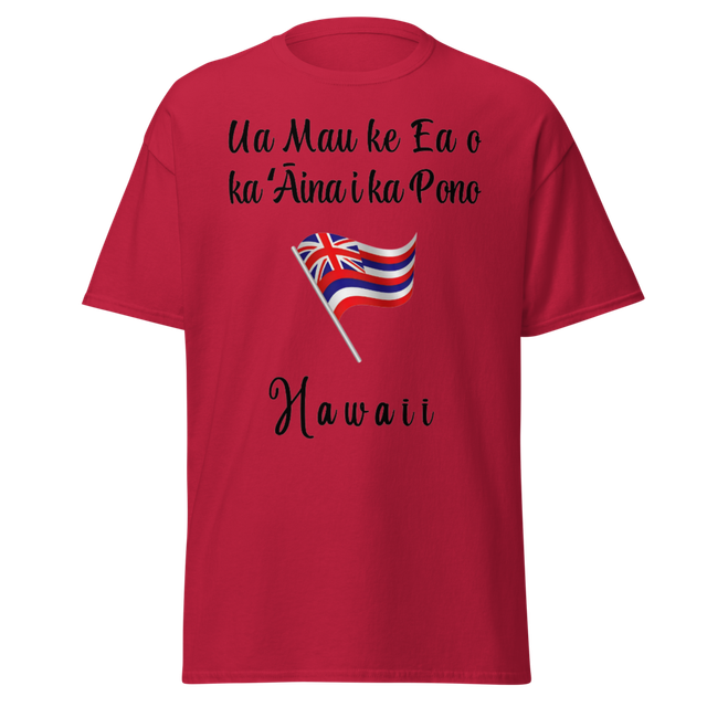 Hawaii Flag