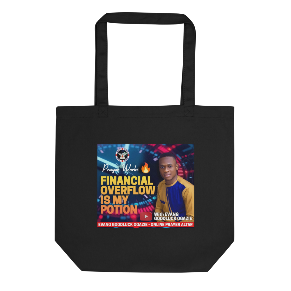 FINANCIAL OVER FLOW BAG
